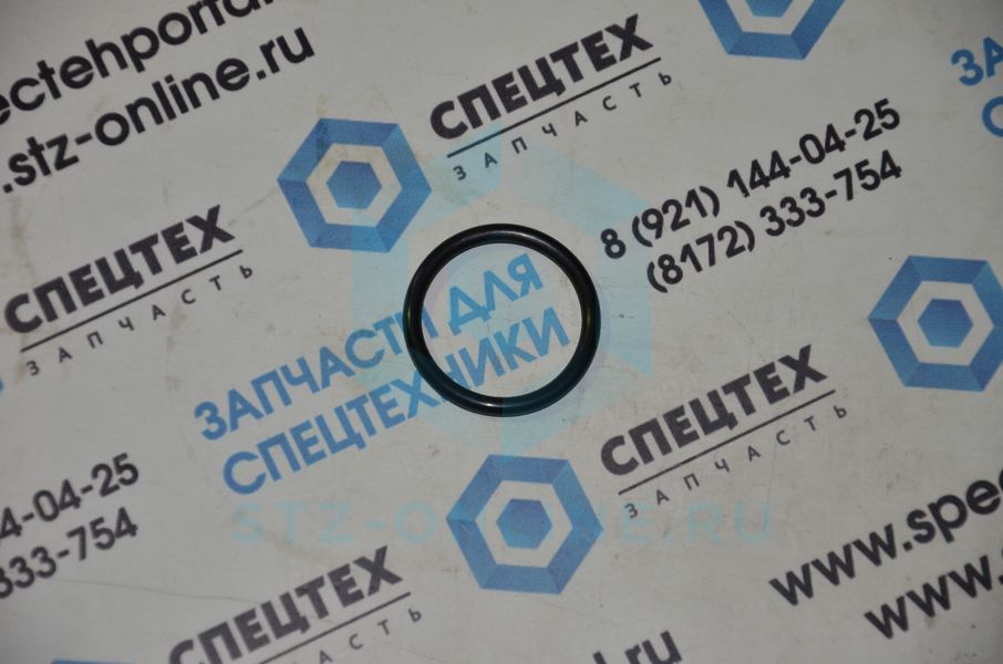 Кольцо 11709321 (OEM)